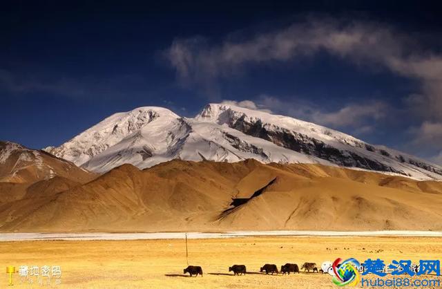 南疆—真正的西域风情！