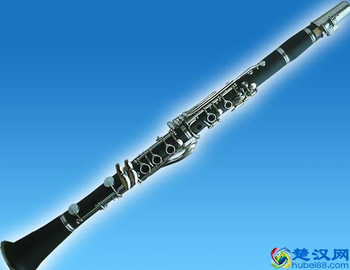 黑管是什么乐器的别称怎么吹(世界十大最难学的乐器)